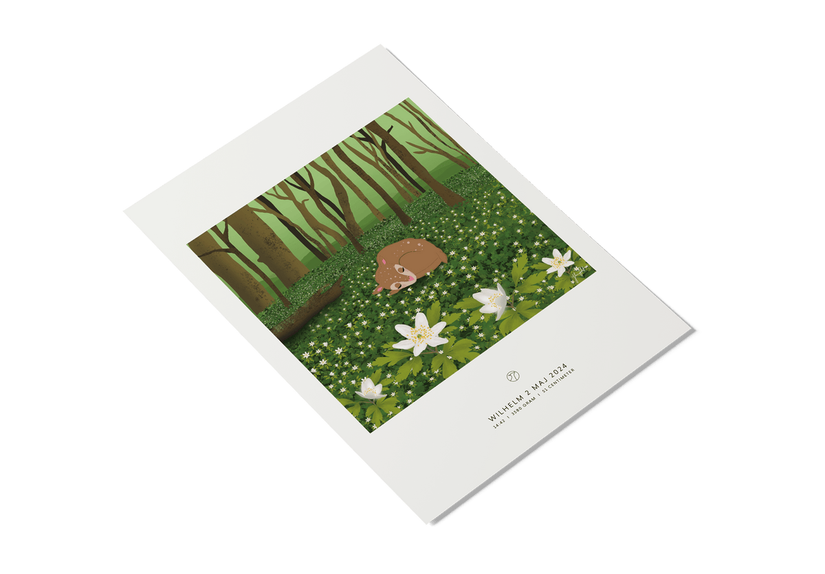 Maj – 50x70